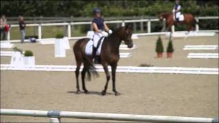 wwwreitschulesandbrinkde SOULMATE Sandro Hit  Calypso II Warendorf 0611 Dressage [upl. by Eduino331]