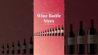 Wine bottle sizes in increasing order 🍷🤗 [upl. by Kissie]