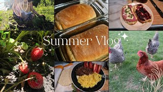 Summer Vlogbaking bread life update garden [upl. by Wyatt973]