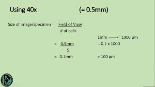 Calculating Size of Specimen amp Magnification [upl. by Rosenblatt]