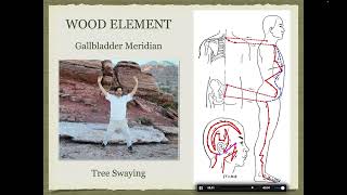 5 Element Qi Gong  Meridians and Five Elements Theory [upl. by Hsiri121]