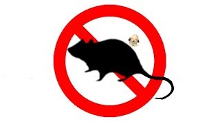 ▶️ Mouse amp Rat Ultra Sonic Deterrent Mice Ultrasonic Repellent 12 Hours 🌏 [upl. by Arimas]