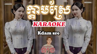 ក្ដាមស្រែ ភ្លេងសុទ្ធ  kdam sre karaoke thanh tuyền  kdam srae karaoke 2024  ក្ដាមស្រែ karaoke [upl. by Ecydnac]