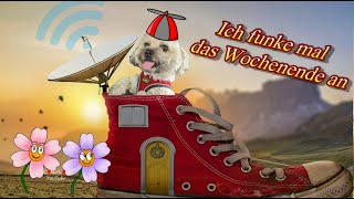 Ein schönes Wochenende wünsche ich dir 🌞 liebe Grüße zum Samstag 🌺 [upl. by Milstone]