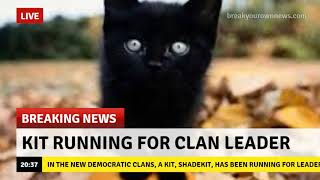 Funny Warrior Cat Memes 3 [upl. by Avek]