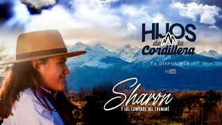 Sharon y los Camperos del Chamamé  Hijos de la Cordillera [upl. by Arakal230]