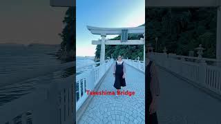 Takeshima bridge Gamagori Japan japan newsong food shortvideo shorts [upl. by Hoover739]