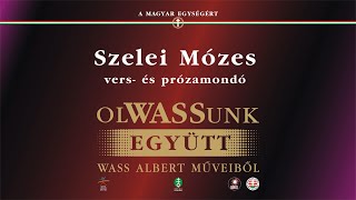 Wass Albert EGYSÉGES MAGYARSÁG – Szelei Mózes vers és prózamondó előadásában [upl. by Llesram]