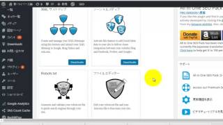 All In One SEO Pack初期設定の方法 [upl. by Ettena817]
