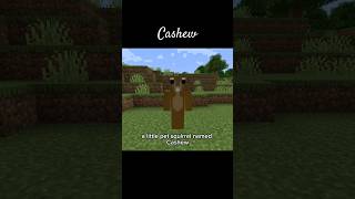 Cashew minecraft peanutthesquirrel gaming [upl. by Ahsenroc]