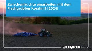 Zwischenfrüchte einarbeiten mit dem Flachgrubber Koralin 9 2024 [upl. by Gazzo534]