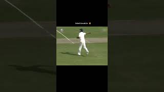 Alistair Cooks Brain FadeOut or Not Out shorts foryou fyp cricket india english [upl. by Kapoor]