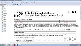 Noncustodial Parent New York State Earned Income Credit [upl. by Ahsyak998]