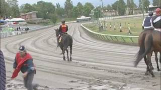 Most Dangerous Job in horse racing with amazing footage outriders [upl. by Evilo]