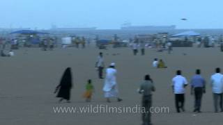 Visitors relaxing on Marina beach of chennai [upl. by Aryan]