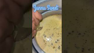 food junnu junnurecipeintelugu vlog [upl. by Berl]