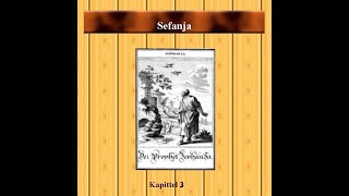 Profeten Sefanja Kapittel 3 Han tar seg av syndere [upl. by Janey]