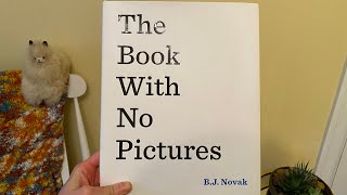 The Book With No Pictures [upl. by Ettena]