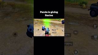 Panda Trick 😱 pubgnoobtroling pubgmobile pubg pubgnoobstrolling bgmi pubgfunnytrolling [upl. by Zetniuq16]