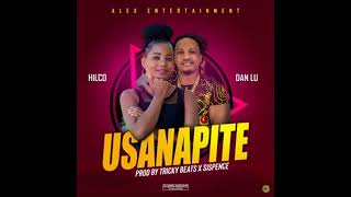 Hilco ft Dan Lu  Usanapite  Official Audio [upl. by Asiilanna]