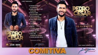 Pedro Cesar o Galã Do Forró  02 Comitiva  CD 2019 [upl. by Octavius]