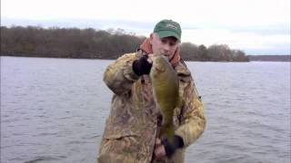 Lipless Crankbaits for Smallmouth Bass [upl. by Whitcomb584]