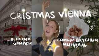 РОЖДЕСТВО В Австрии 🇦🇹 Вена Рождественские ЯРМАРКИ пробуем еду  Vienna Christkindlmarkt [upl. by Sheeb487]