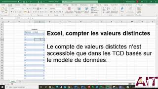 Excel  Compter les valeurs distinctes TCD [upl. by Lunneta79]