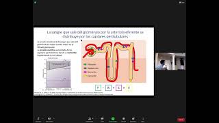 Ser HysM Seminario de fisiología [upl. by Nonnahsal]