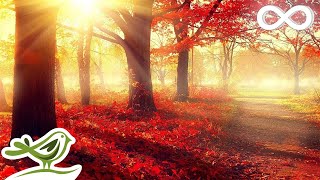 Beautiful Romantic Music Relaxing Music Piano Music Violin Music Guitar Music Sleep Music ★101 [upl. by Nilac]