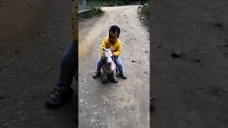 This guy can do tricks funny cutebaby [upl. by Hecklau]