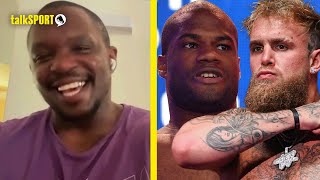 Dillian Whyte LAUGHS UNCONTROLLABLY At Daniel Dubois vs Jake Paul amp Sends His Own Message To AJ [upl. by Leihcey]