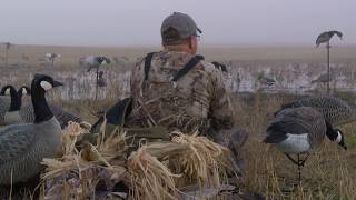 Duck Hunting Mallards over Field Decoys North Dakota [upl. by Smukler373]