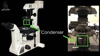 Microscope alignment for optimal image quality Koehler Illumination [upl. by Navonoj557]