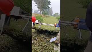 Fish pond duckweed feed collection process [upl. by Ynneh255]