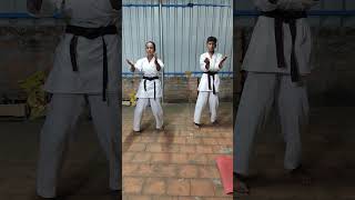 Sanchin Kata Uechi Ryu [upl. by Frodi]