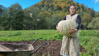 THE WOMAN LIVES ALONE IN THE MOUNTAINS SHE Will Cook an Amazing Pumpkin Porridge [upl. by Ankeny]