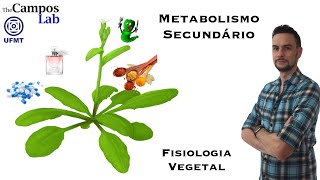 Metabolismo secundário 44 Compostos Fenólicos [upl. by Vaughn]