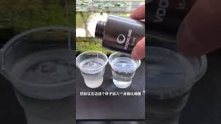 做个试验，看看硝化细菌是不是智商税？硝化细菌 养鱼日记 实验 水族 新手养鱼 [upl. by Airal]