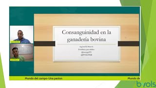 Consanguinidad en la ganadería bovina [upl. by Lubeck]