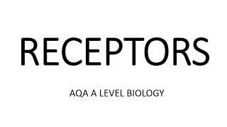 RECEPTORS  AQA A LEVEL BIOLOGY  EXAM QUESTIONS RUN THROUGH [upl. by Laws884]