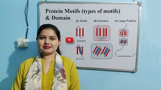 Protein Motifs amp Domains  Types of Motifs [upl. by Notsej]