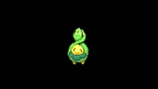 Pokemon Cries  406 Budew [upl. by Akehsar]