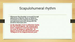 Scapulohumeral Rhythm [upl. by Jalbert494]