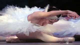 BAILARINA DE CAJITA MUSICAL RICHARD CLAYDERMAN [upl. by Aloek]