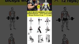 biceps workout biceps workout at gym biceps workout with dumbbells World’s FASTEST Biceps Workout [upl. by Debra]