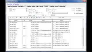 RCG  Tutorial 12 Reportes de Gestión [upl. by Inattyrb]