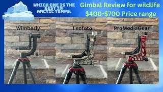 Which Gimbal will perform better if Arctic Temperatures [upl. by Arbrab]