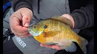 Tough Bite Panfish Tips Finicky Bluegill Advice [upl. by Noel]