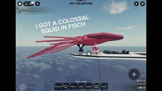 I got a colossal squid in fisch on Roblox [upl. by Christye985]